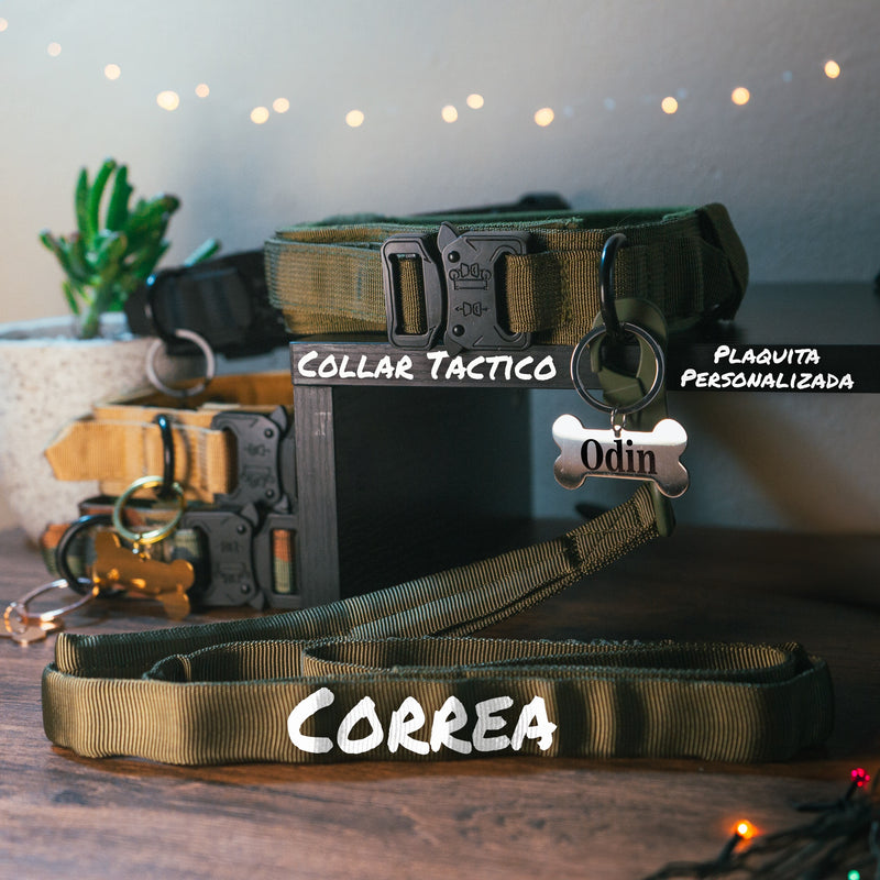 Combo collar tactico Verde