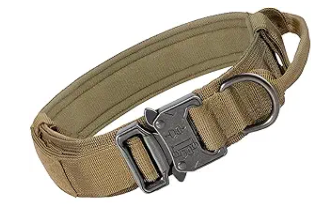 Collar Táctico para Perro con Asa y Hebilla Metálica