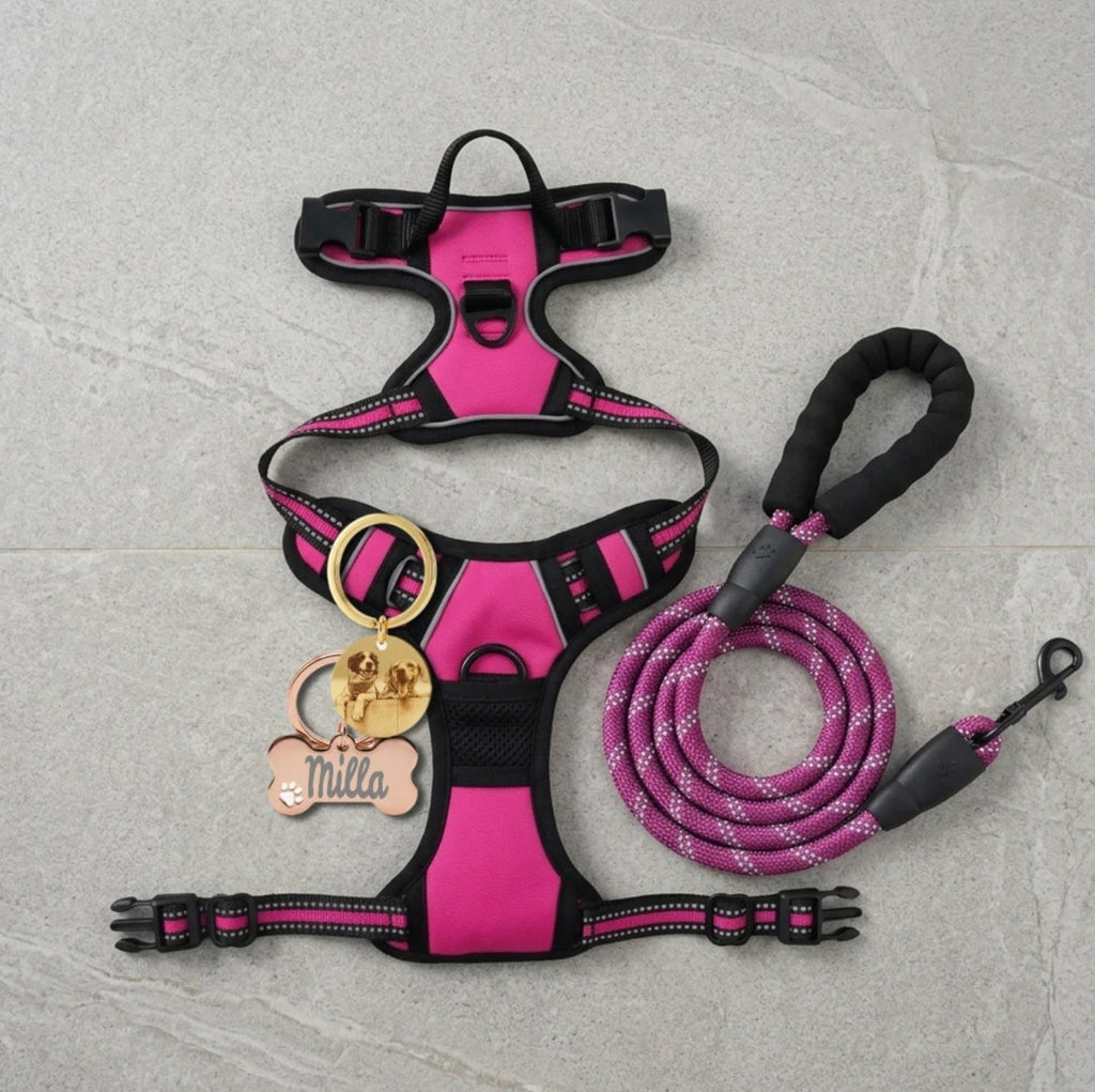 Combo Pechera Fucsia con correa, plaquita y llavero