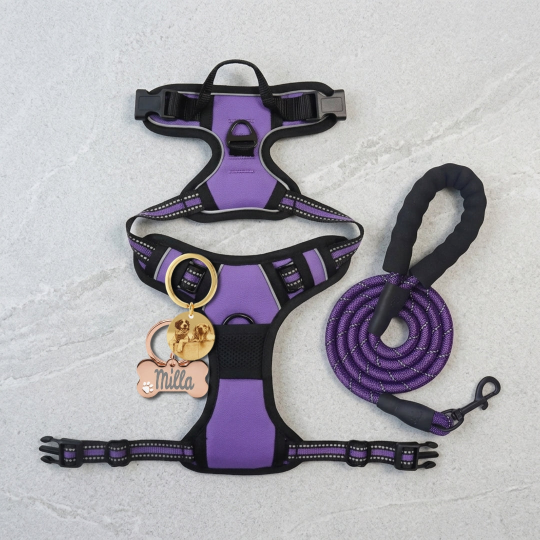 Combo Pechera Morada