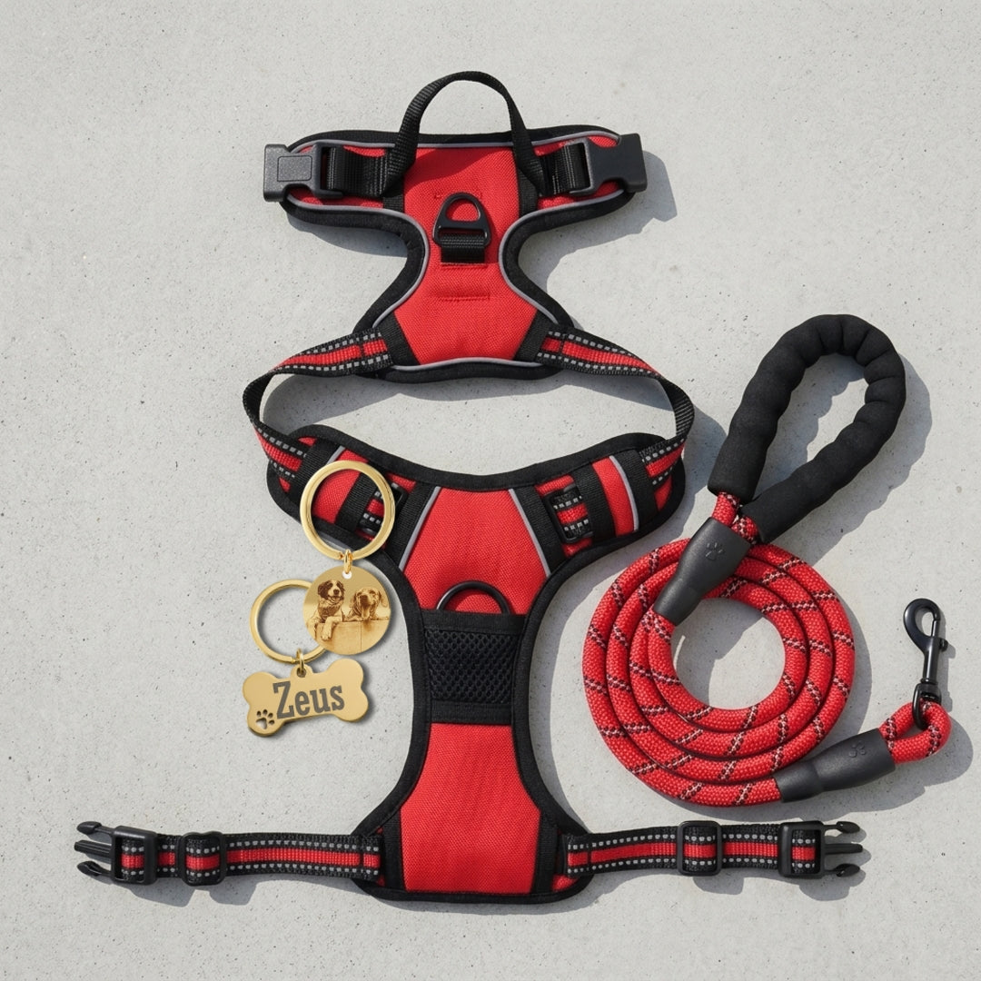 Combo Pechera Roja